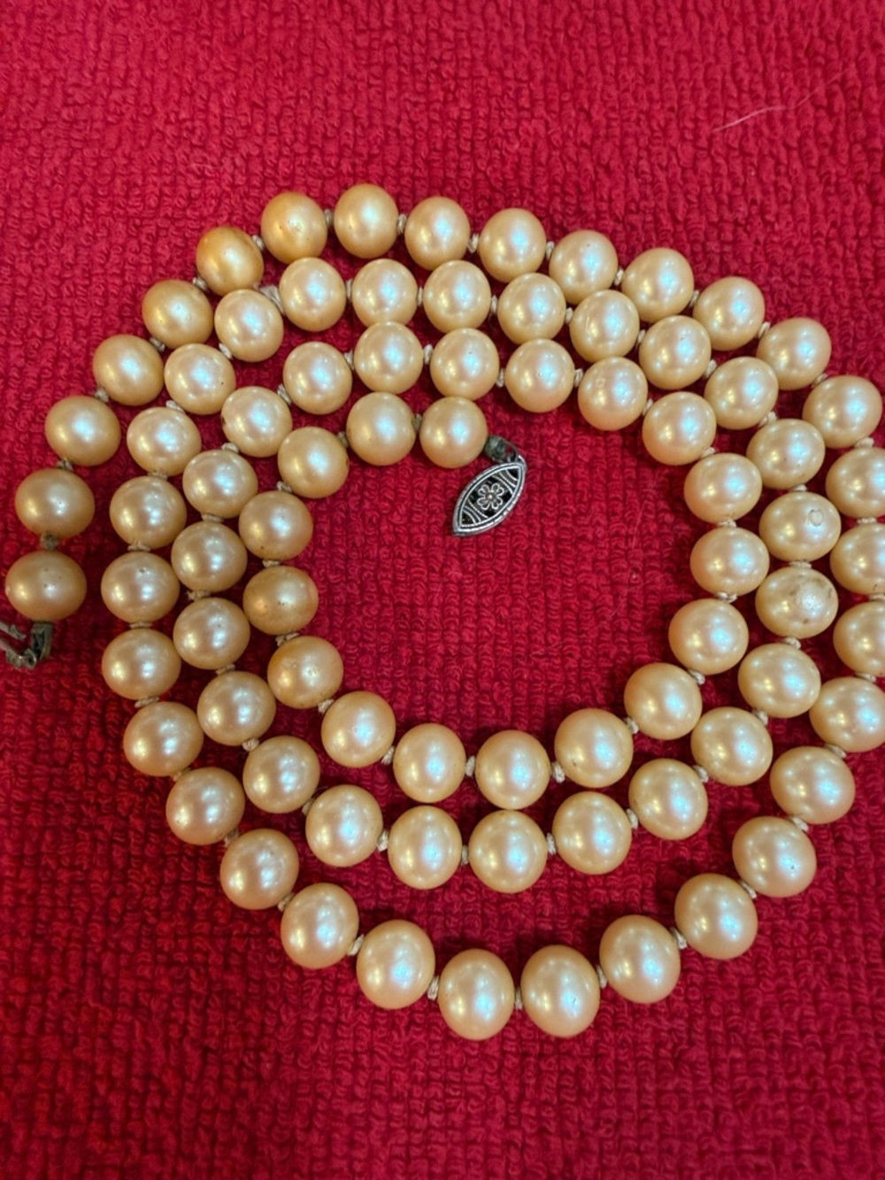 F Pearl Strand Necklace with Decorative Clasp